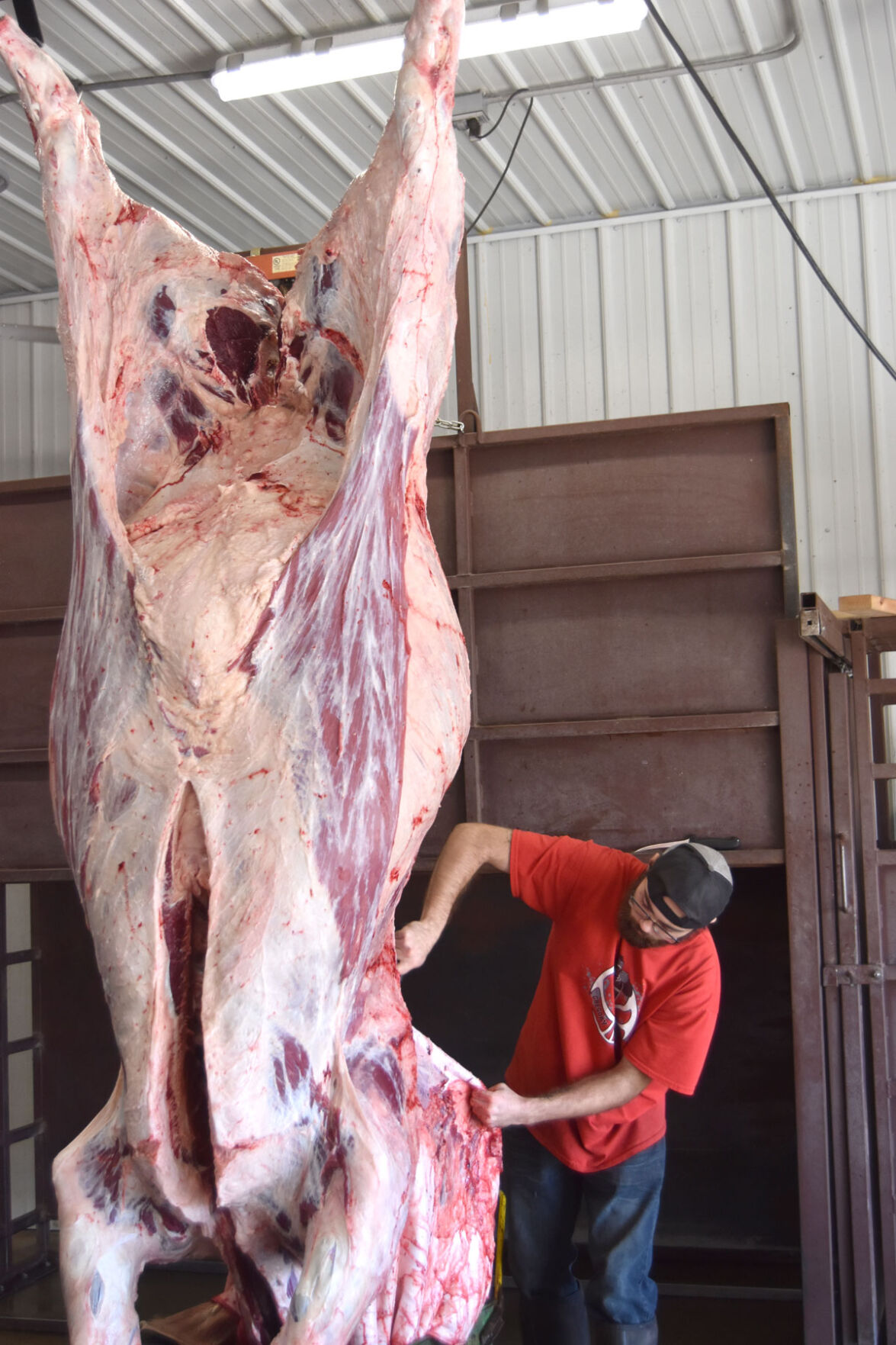 WEB-Small-Butcher--(70).jpg